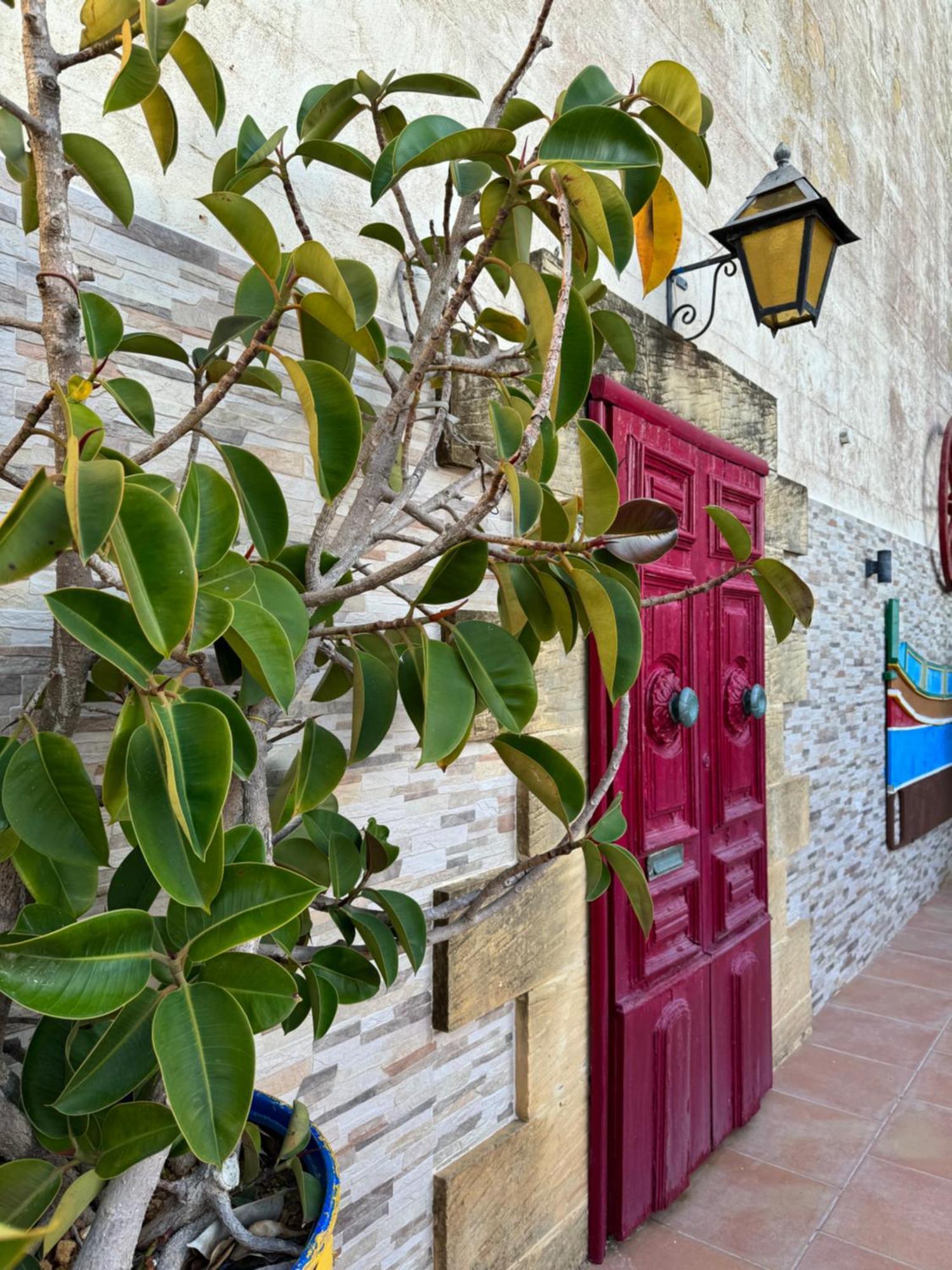 Tal-Bir Farmhouse Hotell Nadur Exteriör bild